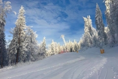 ski lessons on  beginers-slope-in-Poiana-Brasov
